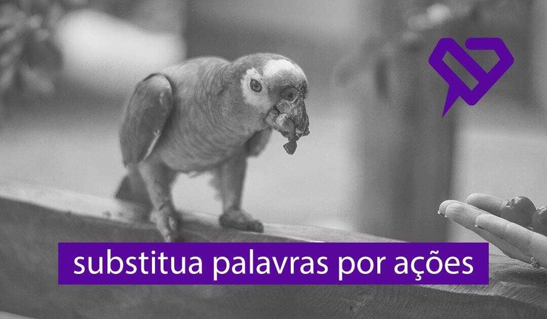Alex Avena - Consultoria em Comunicação, Marketing e Publicidade